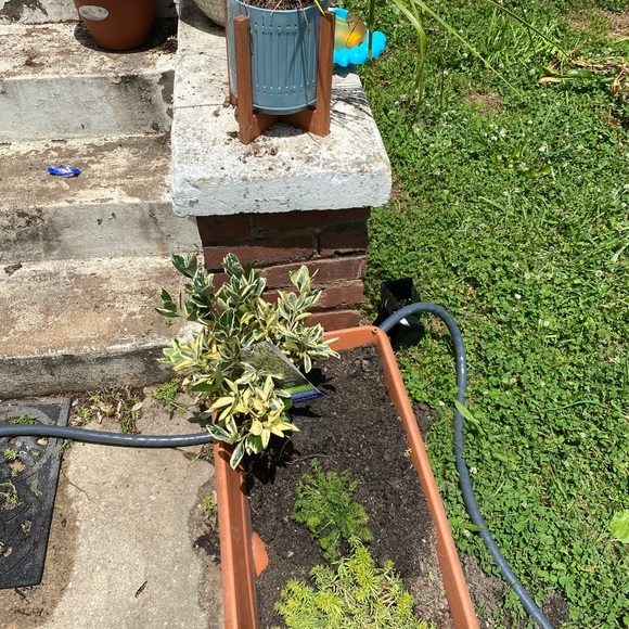 Courtney Wagler - Picture 10 of 11